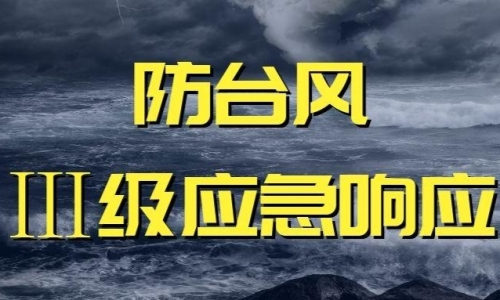 注意！临安防台风应急响应提升至iii级 1258